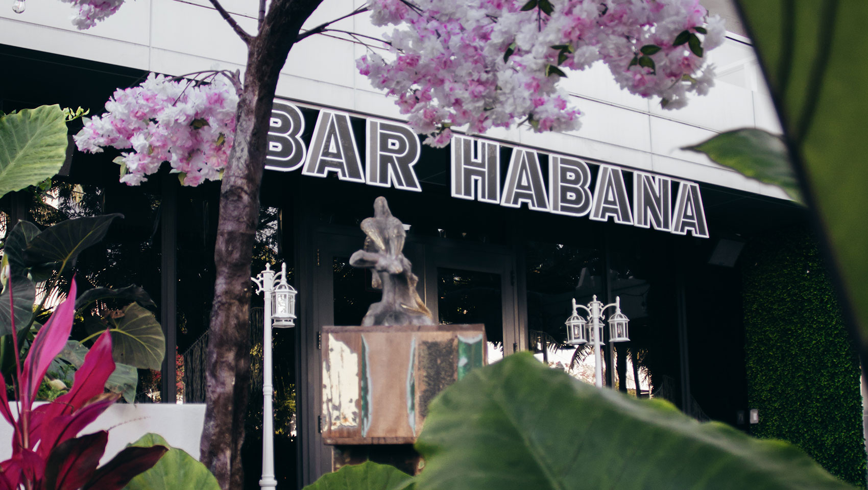 Bar Habana