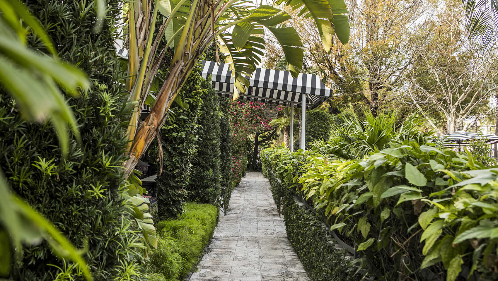 Lush Walkways