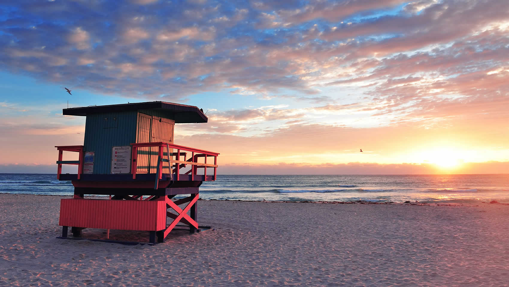 Beach Lifeguard