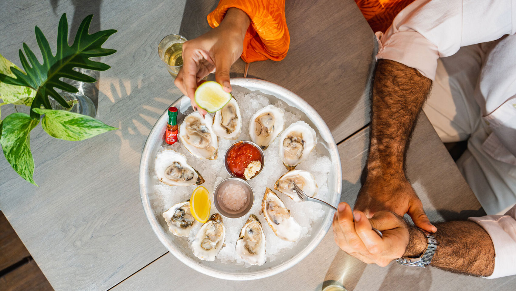 plate of oysters