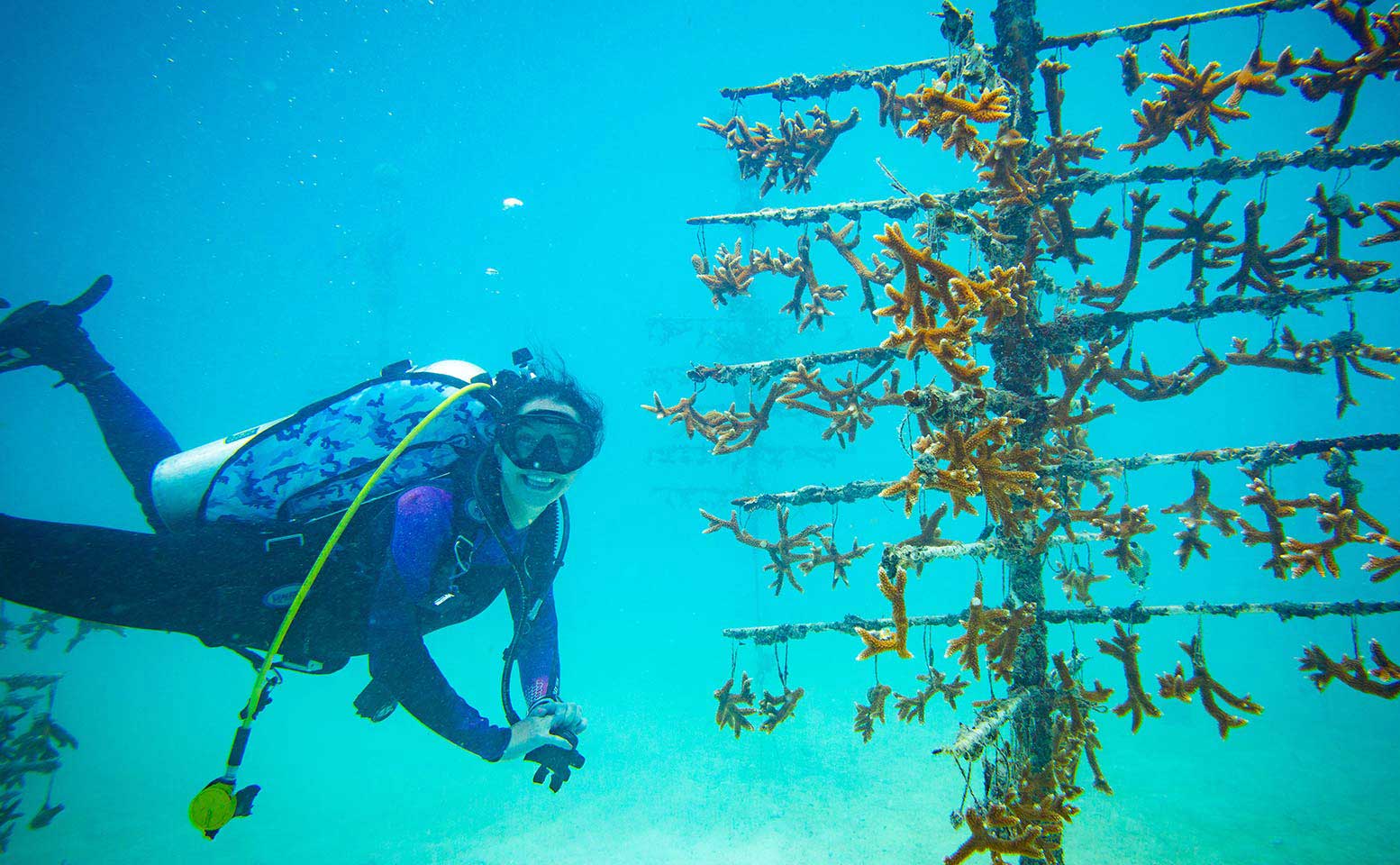 man in aquariam
