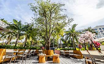 Bar Habana Terrace
