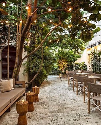 hotel patio with seating under a tree